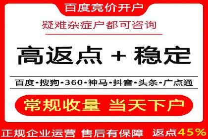 百度竞价广告的投放策略及某行业案例剖析